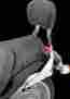 02-7845 Cobra Boulevard Round Sissy Bar Standard 17in