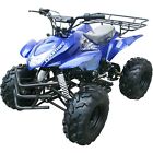 3125a Unbranded Coolster With Fully