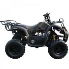 3125xr-8s Unbranded Coolster 125cc With