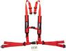 4510-1244 Moose Racing Harness Systems