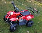 Ata110-b Taotao 110cc Chinese Kids
