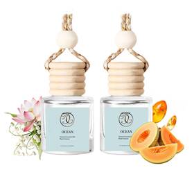 A-789 Degui 2pack Ocean Breeze Scented Automotive Air Freshener Set Car Rose Red