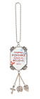 Er45805 Ganz Car Charm Everything Is Possible For Those 065810732787
