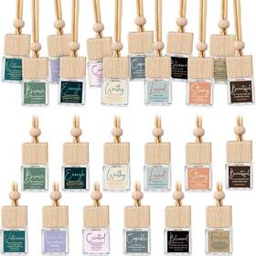 Huq-funnymoom-3646 Funnymoom 12 Pack Christian Gifts Bulk For Women Car Diffusers Bottle Square