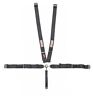 Gfr7100bk G-force 7100bk 5 Point Harness Camlock Sfi 16.1 Individual
