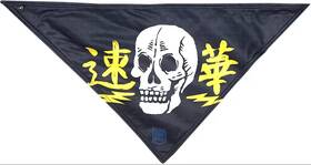 2504-0384 Icon 1000 Top Shelf Highway Skull Hanky Bandana Face Mask Balaclava
