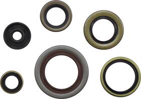 0935-1197 Moose Racing Hard-parts Oil Seal Kit