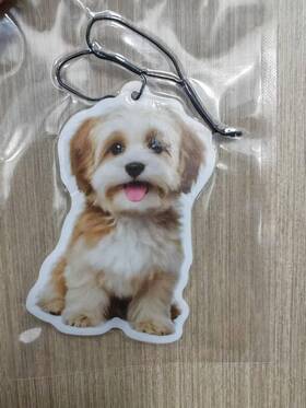 Nylgoxitk01 Nylgoxitk 737879847404 Adorable Pet Dog Car Air Freshener - A 1 Count Pack Of Beige