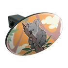 Oth.z000854 M Unbranded Koala Resting