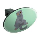Oth.z001324 M Unbranded Scottish Fold Cat Oval Tow Trailer Hitch Cover Plug