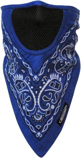 2503-0346 Schampa Fmv-195 Facefit Facemask Blue Paisley