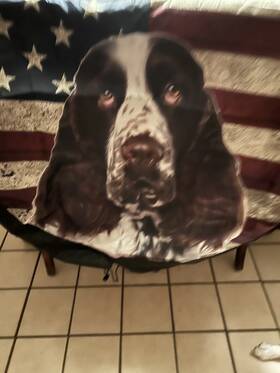 Tire-a101 Sport Covers Spare Tire Cover Patriotic English Springer Spaniel American Flag 18 Inch -20