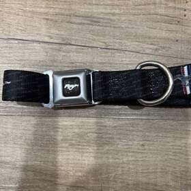 Bd-dc-wfm004-m-xx Stangstuff 11 Inch -16 X 1 Mustang/ford Seat Belt Style Dog Collar - Narrow/medium