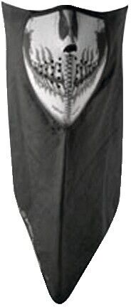 350-0497 Zan Headgear Wneo113 Skull Face Neodanna 50-9276 26-4120 830352