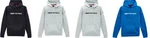 Alpinestars Linear Hoodie. Fixed Price $69.95.