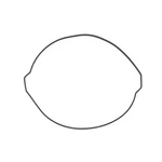 Namura Outer Clutch Cover Gasket For Ktm 250 Xcf-w 2014-2016. Fixed Price $22.77.