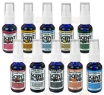 Scent Bomb 100% Concentrated Car Air Freshener Sprays, Choose Your. Fixed Price $8.34.
