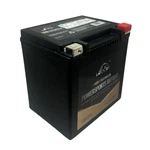 Leoch MX30-3 Agm Powersport Battery 12V 440CCA 30AH Motorcycle Atv Utv. Fixed Price $124.95.