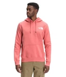 The North Face Box Nse Pullover Hoodie Faded Rose Xl. Fixed Price $42.99.