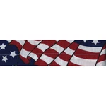 Zan Cooldanna Wavy American/usa Flag DC265. Fixed Price $15.21.