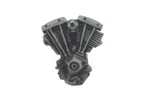 Shovelhead Lapel Pin For Harley-davidson. Fixed Price $33.99.