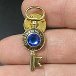Vtg Environmental Service Week Award Key Rhinestone Recognition Hat Lapel Pin. Fixed Price $12.99.