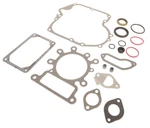 Gasket Set For Briggs & Stratton 796181, 697151, Snapper Simplicity. Fixed Price $19.99.