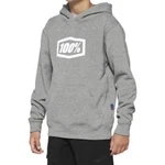 Youth Icon Hoodie. Fixed Price $27.00.