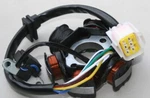 Coolster 125CC 3125XR8-S/XR8-U-S, 3125D/D2, Atv Stator Magneto. Fixed Price $18.95.