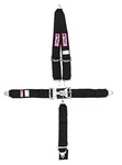 Rjs Racing Equipment 1126201 Harness System, Black. Fixed Price $185.60.