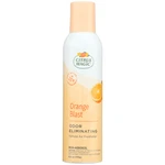 Citrus Magic Odor Eliminating Air Freshener And Room Spray, Orange Blast, 6OZ. Fixed Price $10.35.