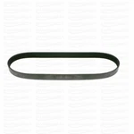 V-belt Volvo Penta D3 Alternator Pulley Serpentine Replaces 22283751 21141198. Fixed Price $38.56.