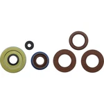 Moose Motors Part Oil Seal Set 822198MSE 0935-1200. Fixed Price $47.16.