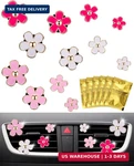 12PCS Pgrode Car Air Vent Clips With Fragrance Pads, Cute Fresheners. Fixed Price $17.29.