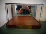 Very Rare 2000 Precious Moments Fun Being Together Mirrored Glass Display. Fixed Price $124.99.