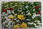 Billet Aluminum Trailer Hitch Cover, Wild Flowers 4X6, Uv. Fixed Price $51.99.