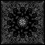 Zan Bandanna Black Paisley B001. Fixed Price $12.63.