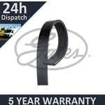 Gates V-ribbed Belts Fits 500L Multipla Bravo Rx 147 Year Warranty G3368. Fixed Price $22.22.