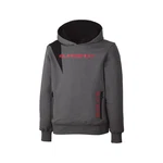Polaris Youth Boys Fuel Pullover Slingshot Hoodie Warm Comfy Sweatshirt Gray. Fixed Price $10.00.