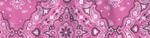 Zan Cooldanna Pink Paisley DC122. Fixed Price $13.99.