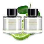 Smart Car Air Freshener Perfume REFILL,3.38 Fl Oz (100ML), Lasts 4-12 Months,.... Fixed Price $31.09.