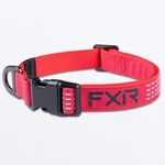 Fxr Racing Razz/black Dog Collar 243600-2810-13. Fixed Price $19.99.