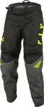 A7 375-93222 Nwt Fly Racing Youth F-16 Pant Size. Fixed Price $27.99.