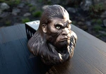 Bigfoot Hitch Cover Sasquatch Trailer. Fixed Price $69.99.
