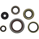 Moose Racing 0935-1197 Oil Seal Kit. Fixed Price $44.73.