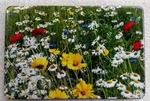Wild Flowers, Billet Aluminum Trailer Hitch Plug Cover,uv, 3"X5". Fixed Price $47.99.