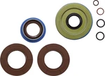 Moose Racing Differential Seal Kit Rear 0935-1204. Fixed Price $66.95.