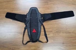 Dainese Wave D1 Airmotorcycle Back Protector Light Breathable Sport Large. Fixed Price $80.00.