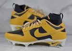 Nike Alpha Menace 4 Dunk Se Solar Flare Football Cleats Mens Size 10 HV6925-001. Fixed Price $67.49.