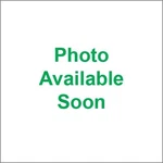 Shoei Vfx-w Mouthpiece Brilliant Yellow. Fixed Price $51.75.